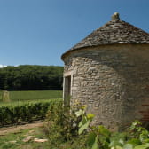 Cabotte dans les vignes à Savigny-les-Beaune