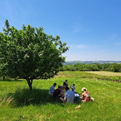 Picknick in de wijngaard - Domaine du Beauregard