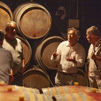 Gevrey Underground: 1000 jaar wijnbouwgeschiedenis