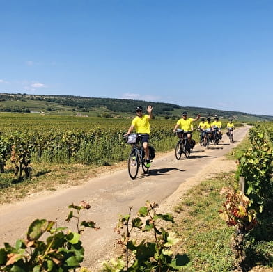 Begeleide fietstocht - Wijngaarden van Auxerre - Escolives - Coulanges 
