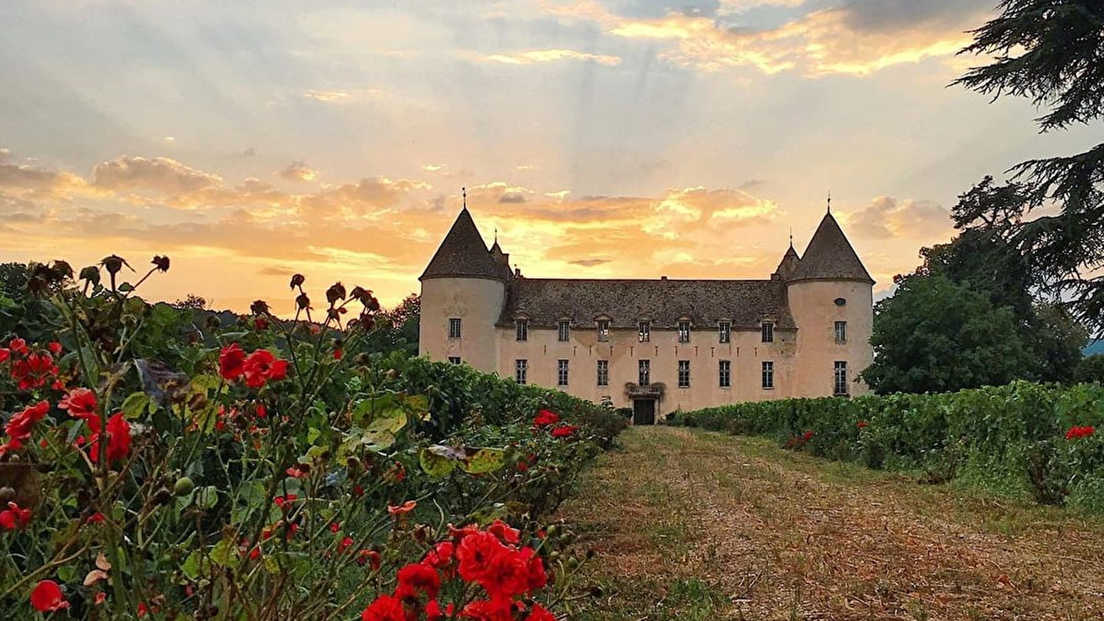 Weekend Wijnverkoop 2024 op Château de Savigny-lès-Beaune