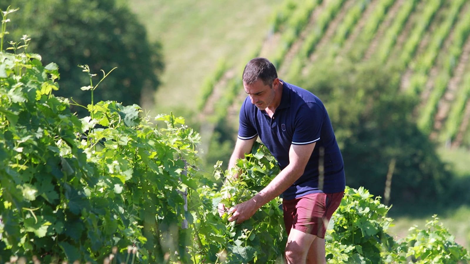 Domaine Jean-Pierre Bailly