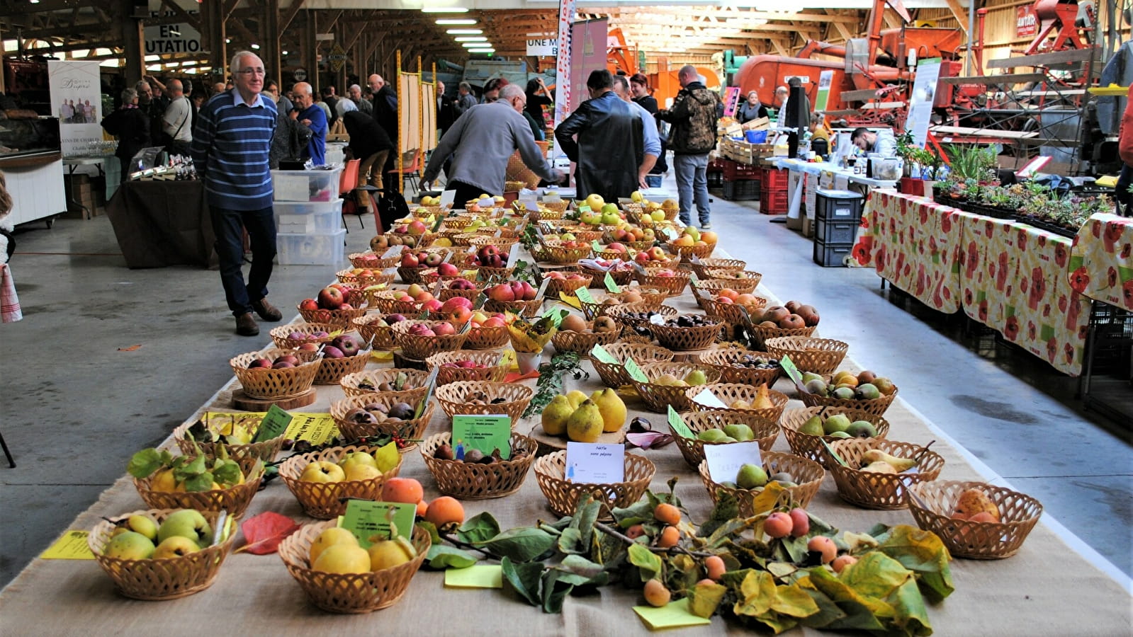 Markt met streekproducten en roze oktoberwandeling in Saint-Loup-des-Bois