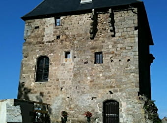 Château de Savigny-le-Vieux - CURGY