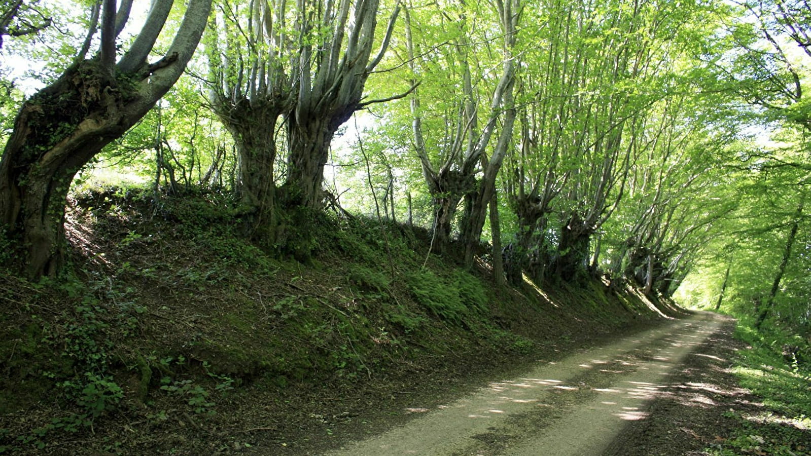 Guédelon Trail