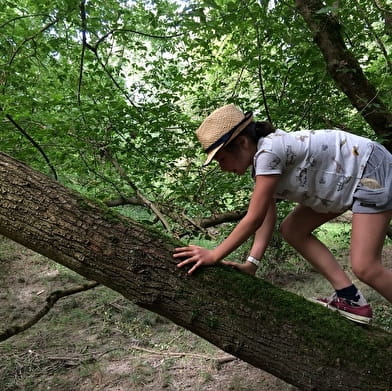 Les Aventuriers du Milieu de Loire - Natuurdag voor kinderen van 6-12 jaar