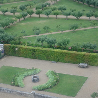 Parc et jardin du château de Talmay