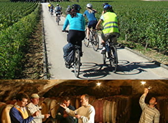 Active Tours : Week-end vélo et vins dans les grands crus - BEAUNE