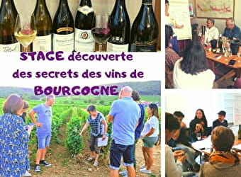 Cursus 'Ontdek de geheimen van Bourgondische wijnen'. - Couchey