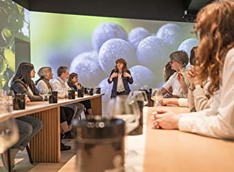 Ecole des vins - Atelier immersif : Accord mets et vins - Dijon