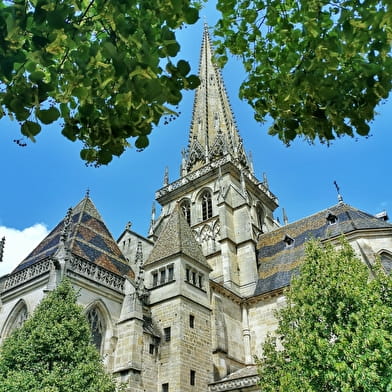 Kathedraal Saint-Lazare en omgeving