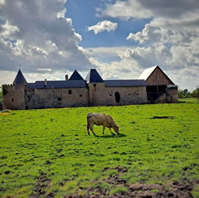 Bezoek aan het middeleeuwse kasteel van Villars   