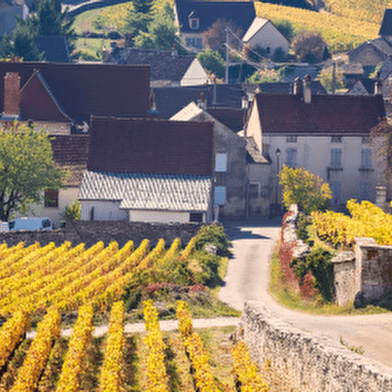 Ontdek de wijngaarden en kanalen van Bourgondië