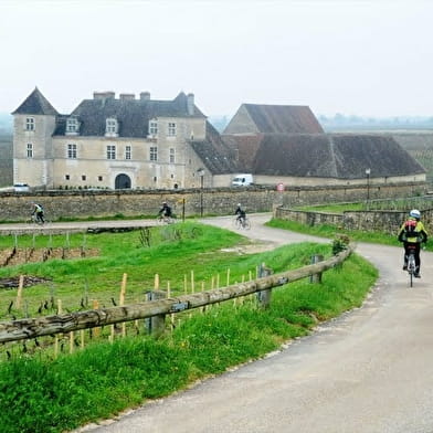 Bike and Wine Tours by Active Tours