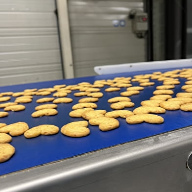 Bezoek de Bon Vivant fabriek en proef de koekjes