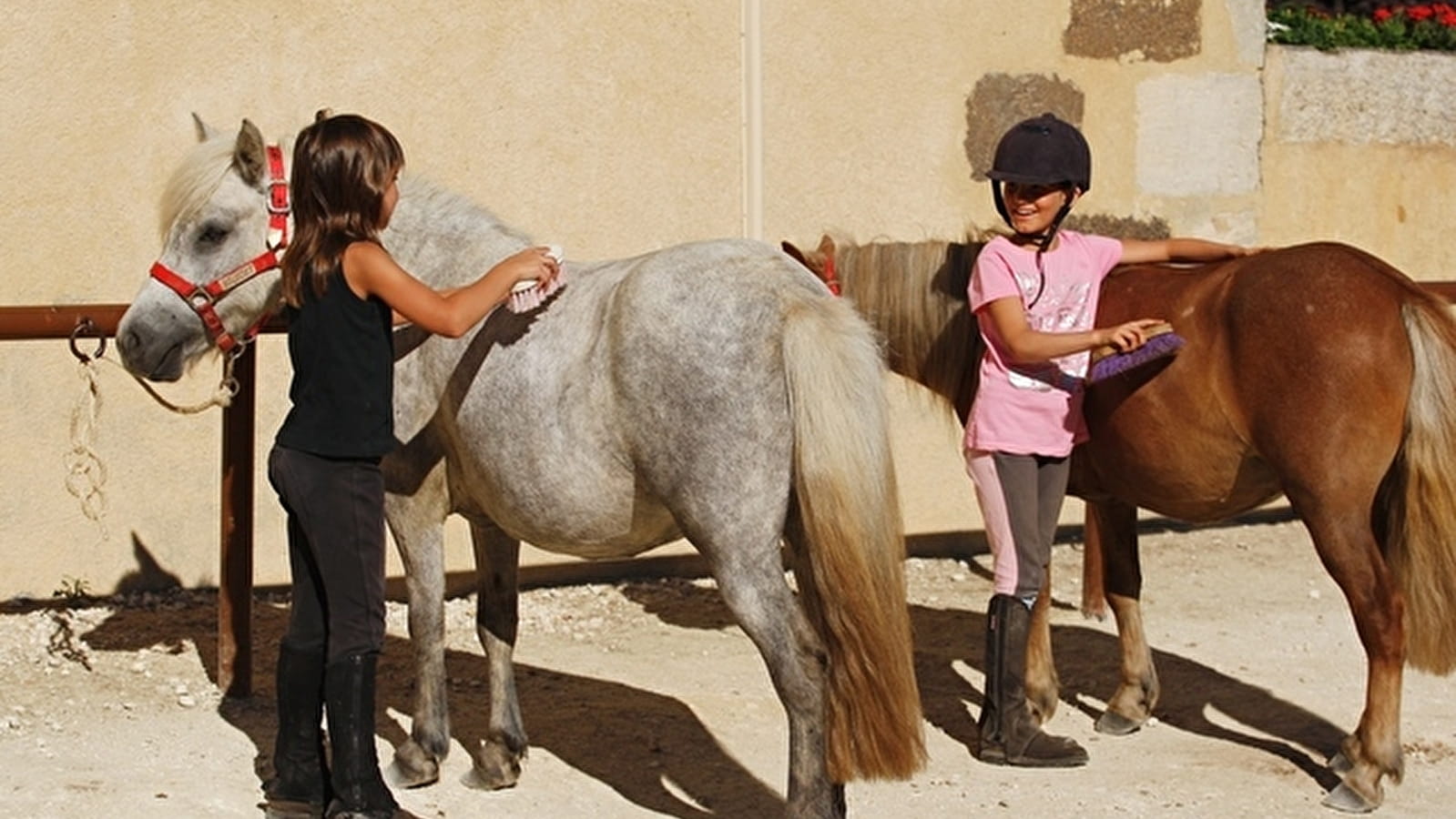 Ferme Equestre Les Grilles - Equitation pour les scolaires