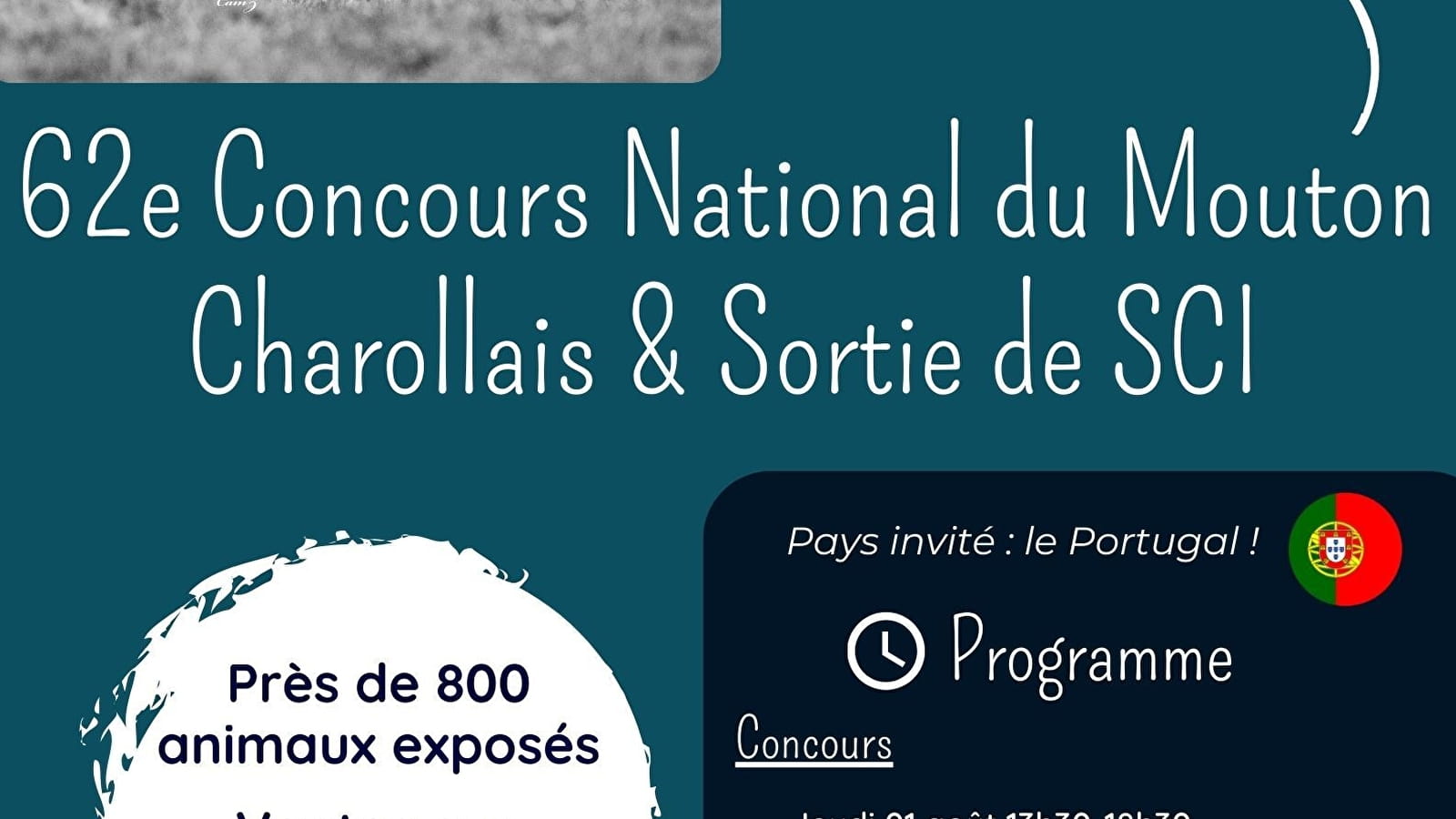 62e Nationaal Concours van Mouton Charollais
