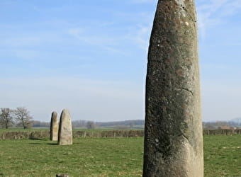 Menhirs d'Epoigny - COUCHES