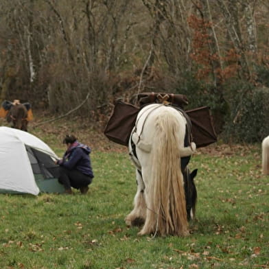 Wandelen - Driedaags bivak te voet met ezel, paard en pony
