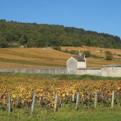 Stage  d'œnologie et dégustation des vins de Bourgogne