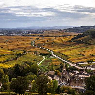 Chemins de Bourgogne