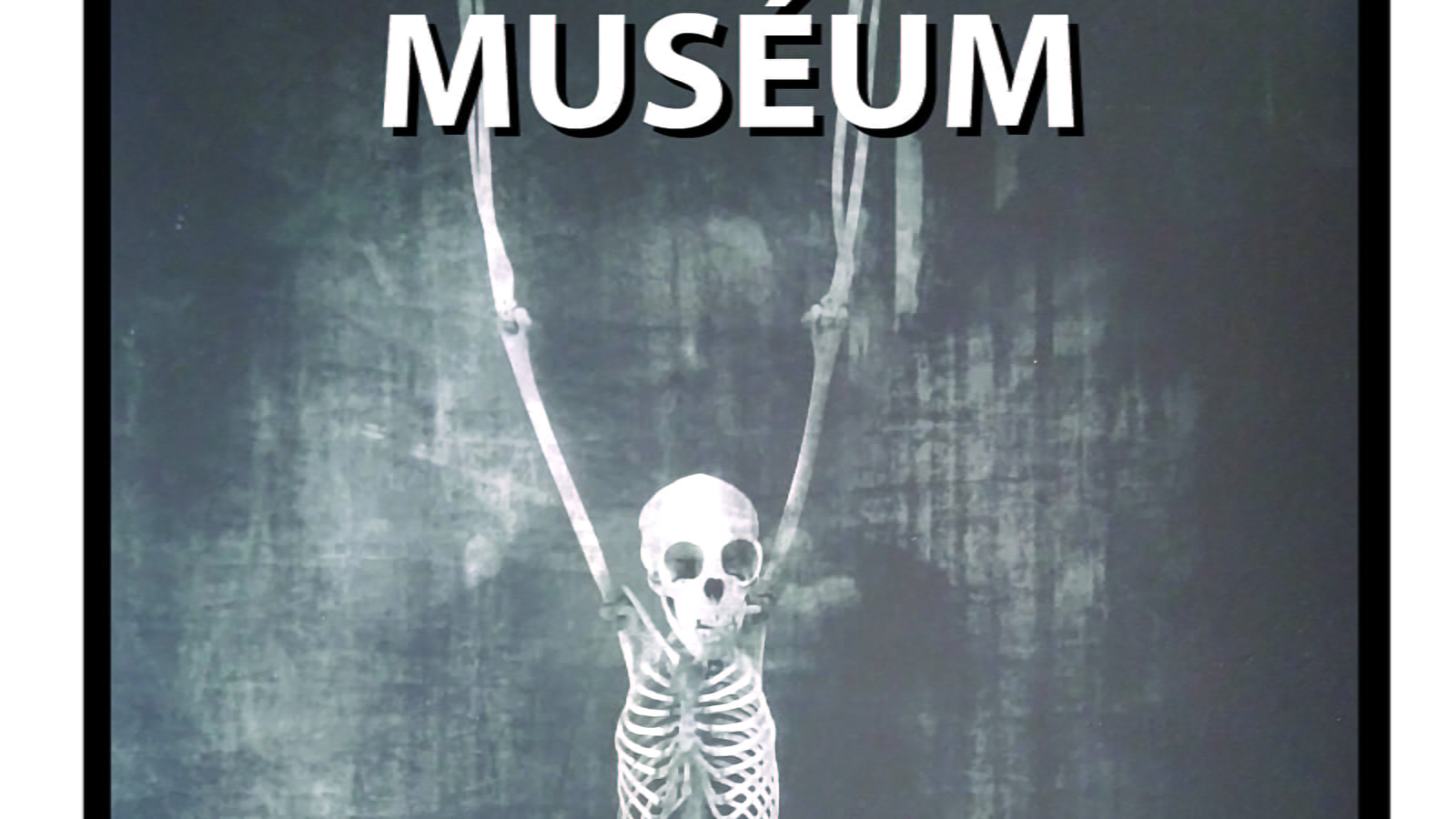 Fototentoonstelling door Vincent Descotils 'muséem' Zwart-wit foto's galerie van vergelijkende anatomie natuurhistorisch museum Parijs.