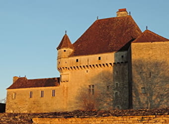 Château de Rosières - SAINT-SEINE-SUR-VINGEANNE