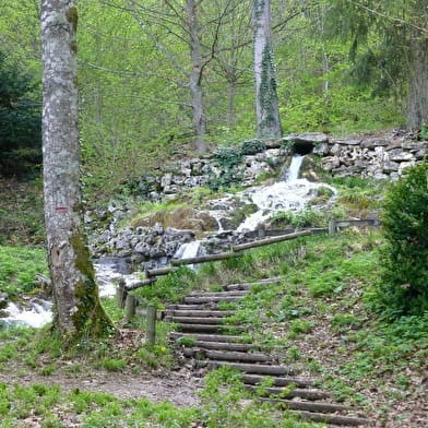 Forêt du Val Suzon