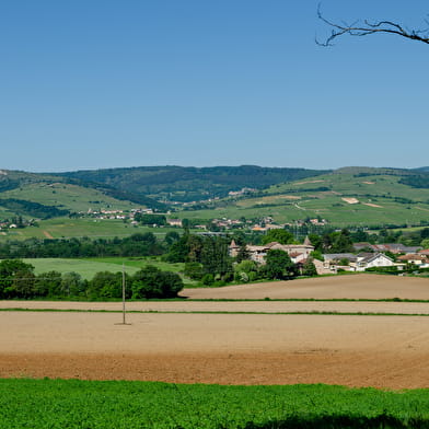 Charnay-lès-Mâcon