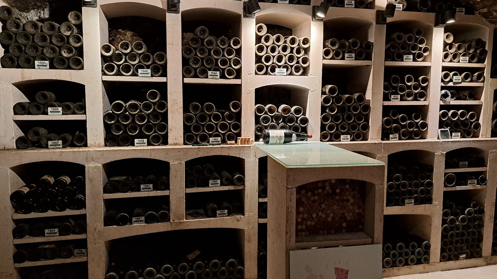 Nuits Underground: De wijngaarden van Nuits, een familiegeschiedenis