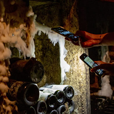 Gevrey Underground: 1000 jaar wijnbouwgeschiedenis