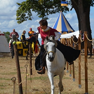 Middeleeuws Festival