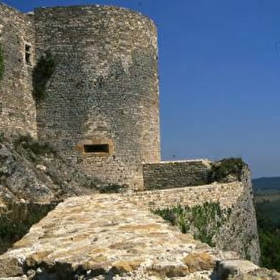 Château de Mâlain