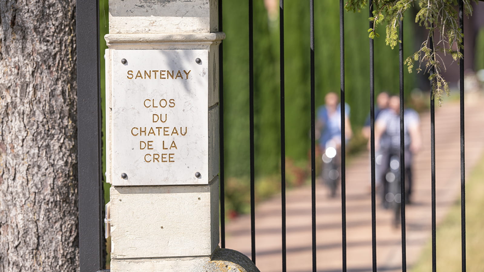 Expérience En selle pour les terroirs de Santenay - Château de La Crée