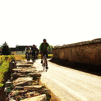 Actieve tochten : Wijngaarden per fiets van Beaune naar Mâcon