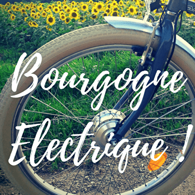 Escapade Gourmande - Canal de Bourgogne per elektrische fiets