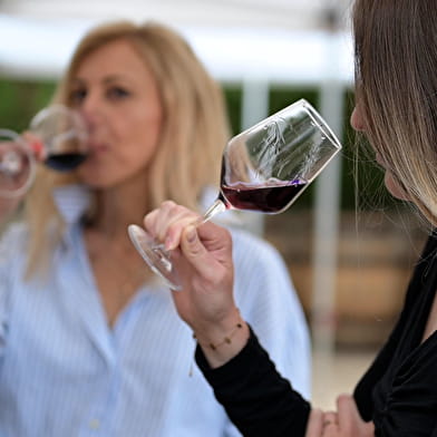 Het fascinerende Couchois 2024 wijnweekend