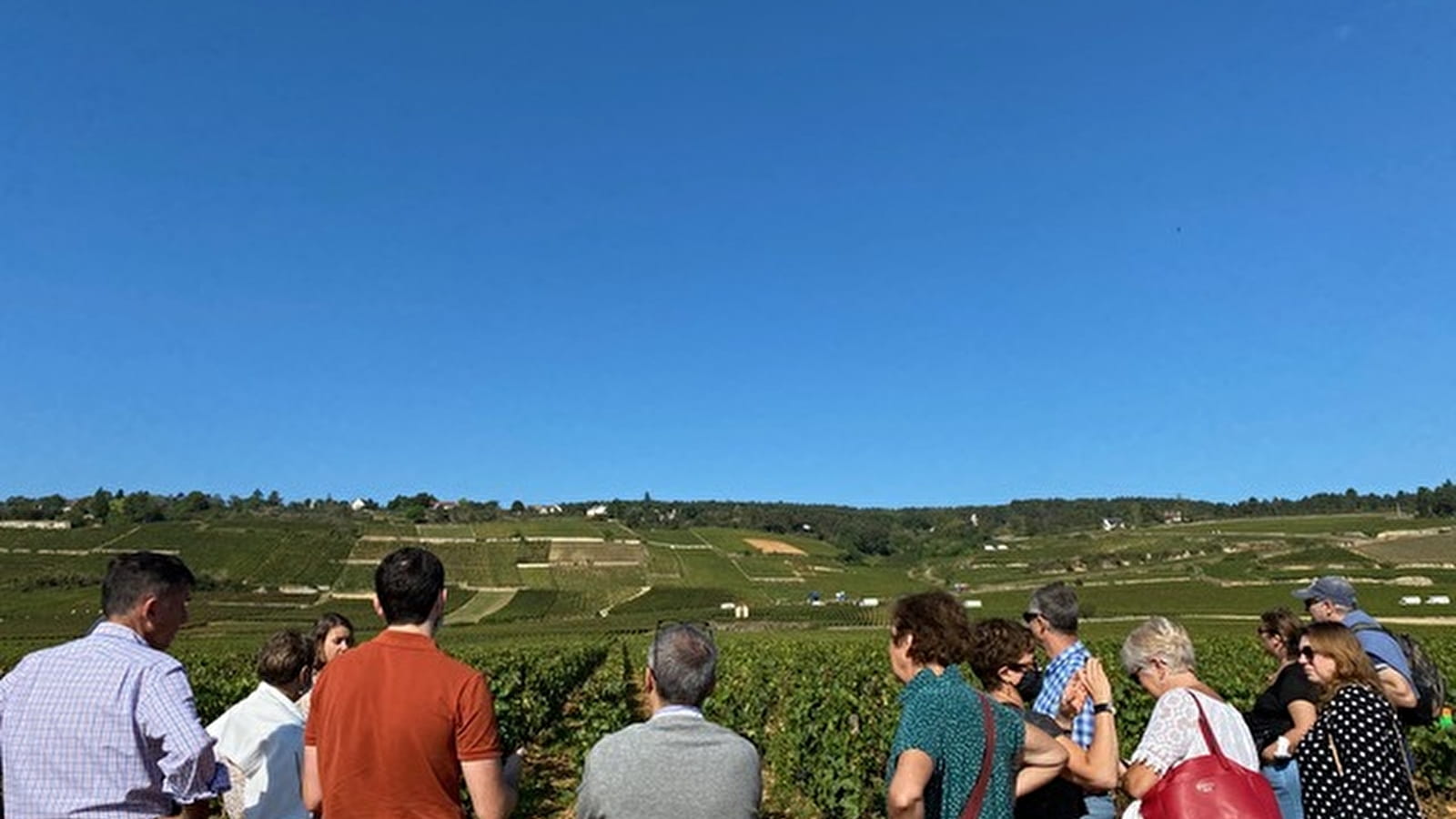 Nawerk in de wijngaarden