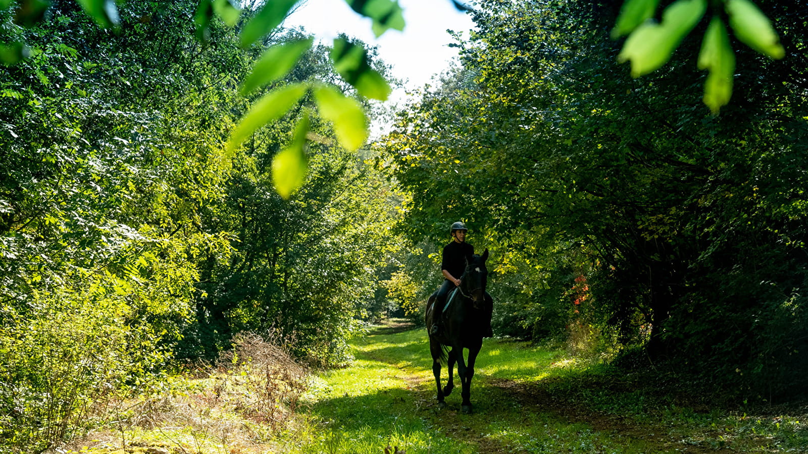 Paardrijden aan de kust van Dijon