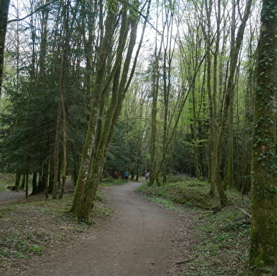 Bois de la Brosse mountainbikeroute