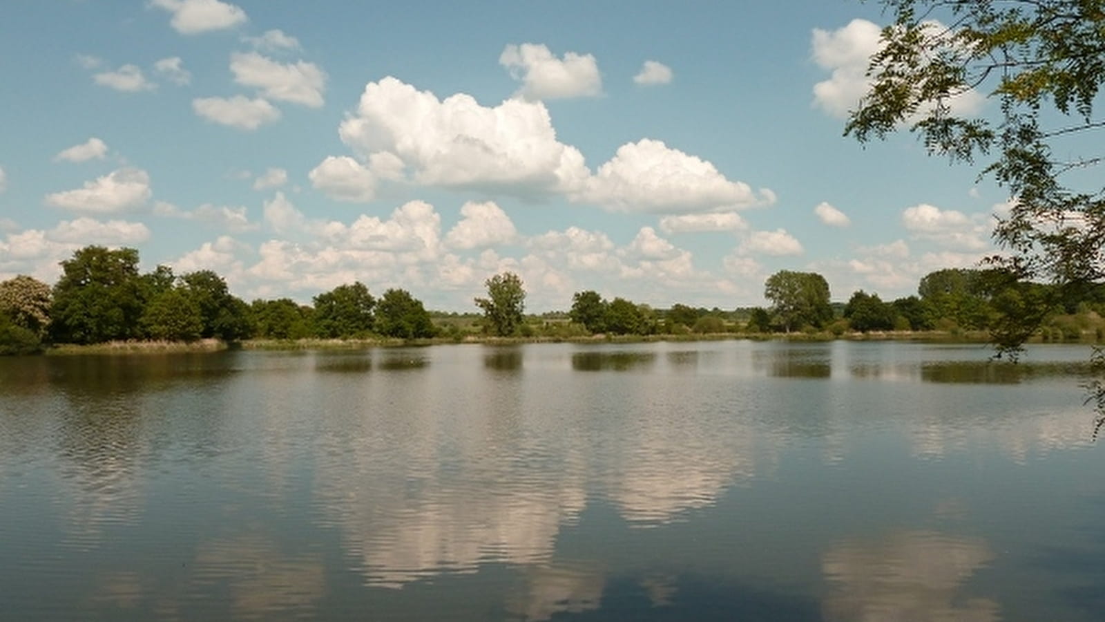 L'étang de Marvy à Neuvy-sur-Loire
