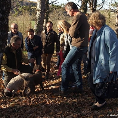 Cavage de la truffe de Bourgogne - reserveren verplicht