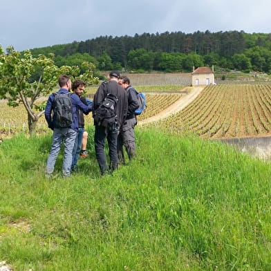 Atelier oeno-sensoriel -découverte  des vins  de Bourgogne 