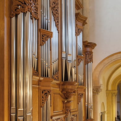 Orgelfestival georganiseerd door de Vrienden van het Orgel