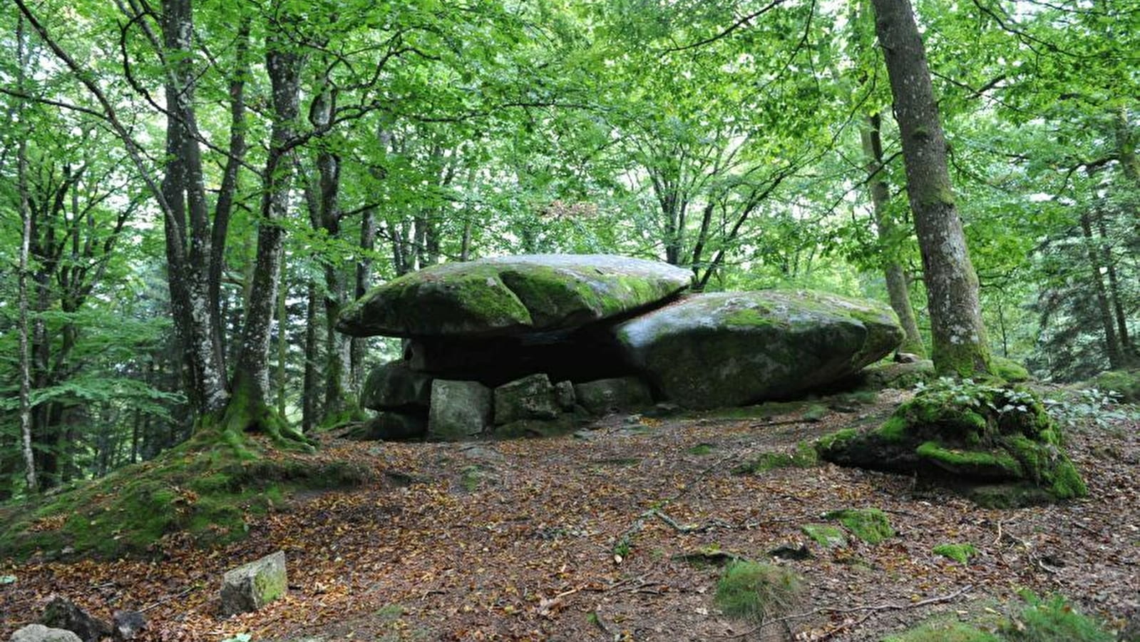 Circuit de randonnée : Boucle du dolmen Chevresse