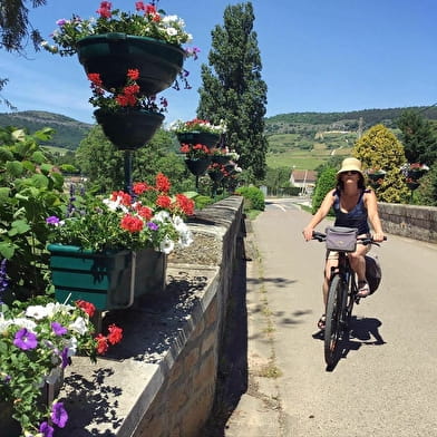 Actieve tochten : Wijngaarden per fiets van Beaune naar Mâcon