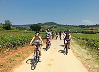 Active Tours : Les vignobles en vélo de Beaune à Mâcon - BEAUNE