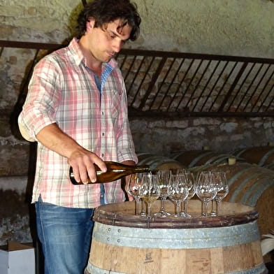 Bezoek aan de wijnkelder en wijngaard 'La Perrine 